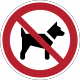 P021 : Interdit aux chiens