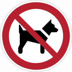 P021 : Interdit aux chiens