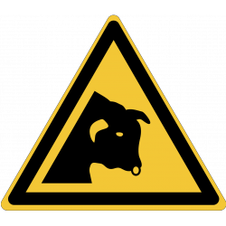 W034 : Danger, taureau